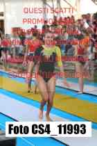 CS4_11993-