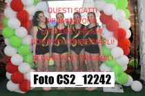 CS2_12242-