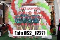 CS2_12271-