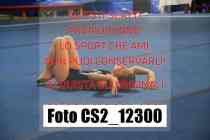 CS2_12300-