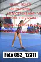 CS2_12311-