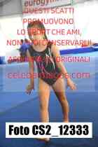 CS2_12333-