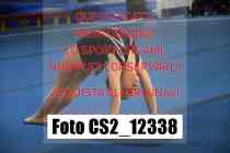CS2_12338-