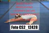 CS2_12428-