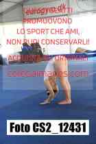 CS2_12431-