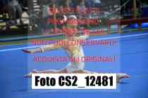 CS2_12481-
