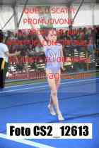CS2_12613-