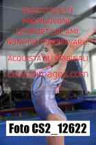 CS2_12622-