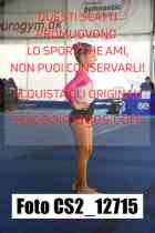 CS2_12715-