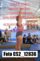 CS2_12836-
