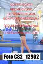CS2_12902-