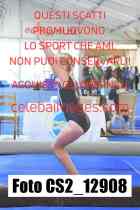 CS2_12908-