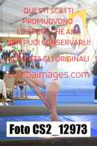 CS2_12973-