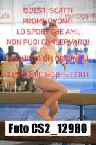 CS2_12980-
