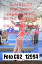 CS2_12994-
