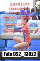 CS2_13022-