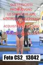 CS2_13042-