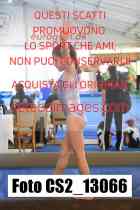 CS2_13066-