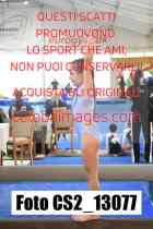 CS2_13077-