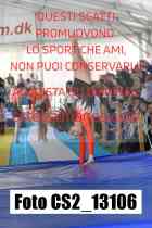 CS2_13106-