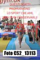CS2_13113-