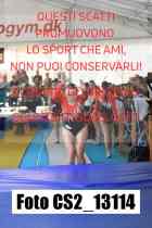 CS2_13114-