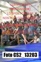 CS2_13203-