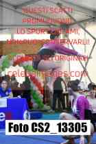 CS2_13305-