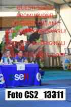 CS2_13311-