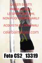 CS2_13319-