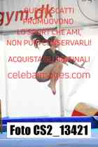 CS2_13421-