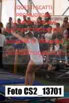 CS2_13701-