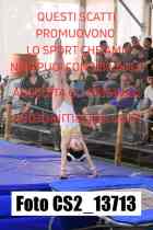 CS2_13713-