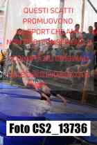 CS2_13736-