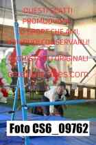 CS6_09762