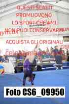 CS6_09950