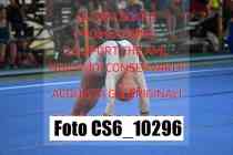 CS6_10296