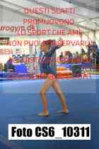 CS6_10311