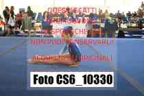 CS6_10330