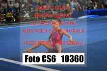 CS6_10360