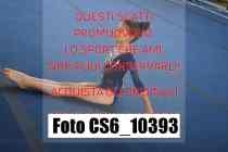 CS6_10393