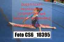 CS6_10395