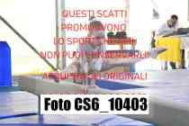 CS6_10403
