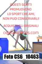 CS6_10463