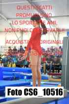 CS6_10516