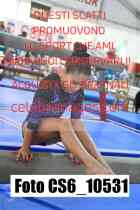 CS6_10531