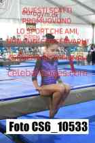 CS6_10533
