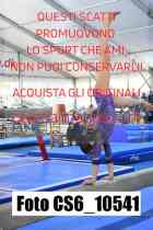 CS6_10541