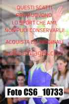 CS6_10733