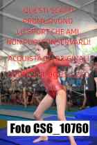 CS6_10760